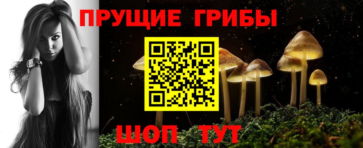 Партизанск  Галлюциногенные грибы ЛСД  Вход с VPN  Псилоцибиновые грибы Cubensis 